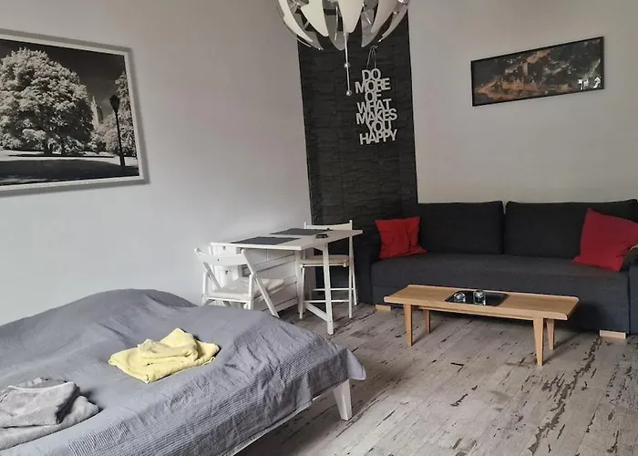 Апартаменты Gottschedtstr. - Zentrums- Und Stadionsnah, 34qm *